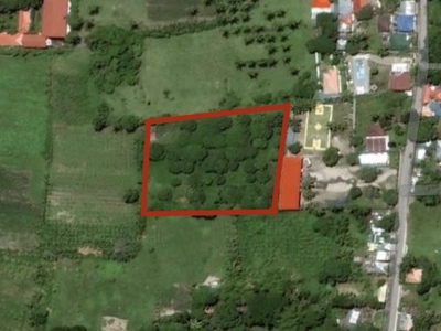 Lot for Sale in Northern Junob, Dumaguete City, Negros Oriental
