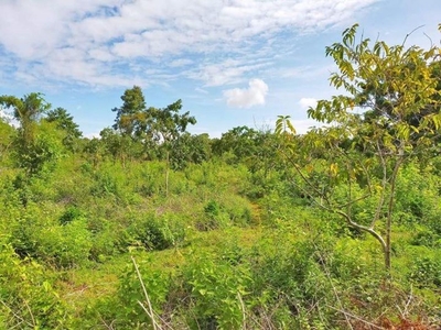 Lot for Sale in Panglao,Bohol