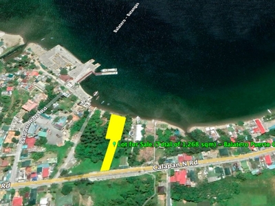 Lot for Sale in Puerto Galera Or. Mindoro