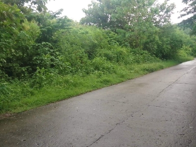 Lot for sale in San Jose, near recreational and tourist spot in tarlac