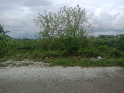 lot for sale in San Miguel 1