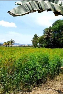 Lot For Sale In San Vicente, Butuan
