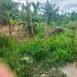 lot for sale in silang cavite