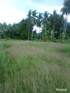 Lot for sale in valencia negros oriental