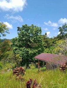 Lot For Sale located in Barangay Tagumpay, Real, Quezon