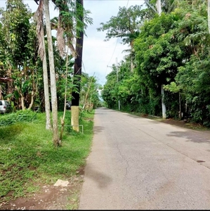 Lot For Sale Rush In Bay, Laguna 1 Hour Ride To alabang