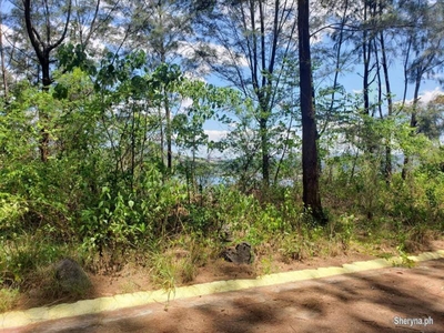 Lot for sale subic zambales