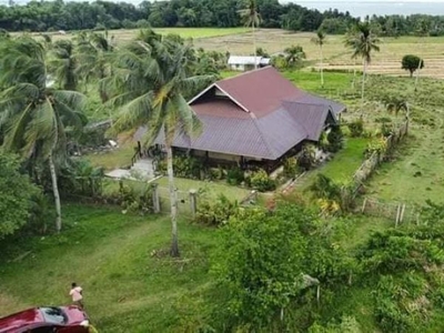 lot for sale ,with overlooking view at bacjao Buenavista guimaras