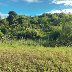 Lot For Sale with view of hills in Filinvest Havila Taytay, Rizal