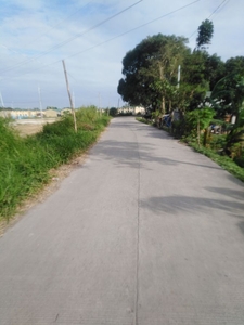 Lot in Naic Barangay Road, NIA Road to Governor's Drive for sale (4 Hectares)
