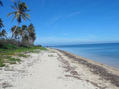 Lot near the Beach Front Ilog Malino Bolinao Pangasinan