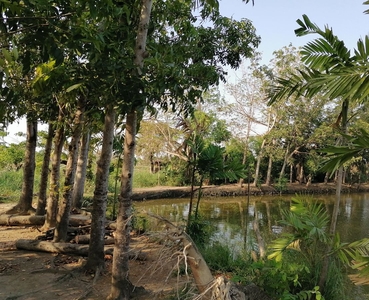 Lot with fish pond for sale at Kapitangan, Paombong, Bulacan