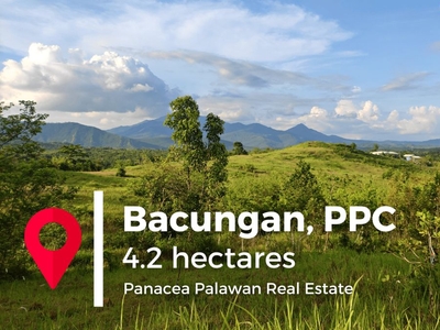 Lot with majestic views For Sale in Puerto Princesa City