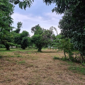 Mango farm lot and private resort for sale
