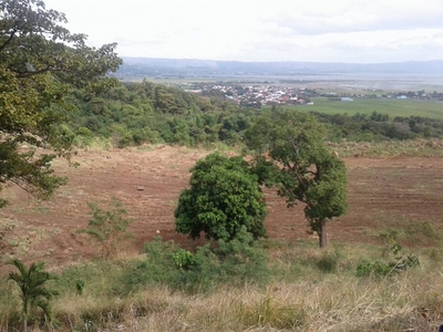 manila east lakeview farm lot for sale in morong rizal