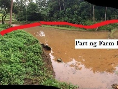 Negotiable Price. Affordable 2.5HA Farmlot/Ricefield for sale in Lucban, Quezon