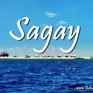 Negros Occidental Old Sagay City Lot for Sale
