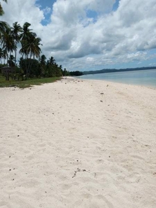Nice 1,468m2 Beach Lot in Caba La Union w/ 2 Beach Resorts Fine Sand Titled