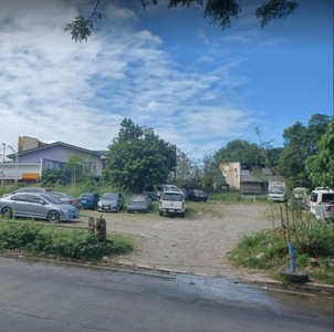4.3 Hectares Agricultural Land Along Brgy Road in Pulilan Bulacan for Sale