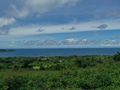 OCEAN VIEW LOTS FOR SALE IN LAZI, SIQUIJOR SIQ0095