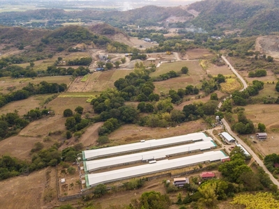 Operational Poultry in Nasugbu, Batangas for sale