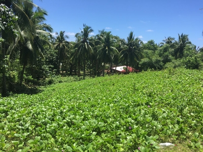 Overlooking Cloud 9 and Pacific Ocean - Titled Lot Siargao Island, General Luna