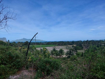 Overlooking Lot / Agricultural Lot for sale in El Nido Palawan