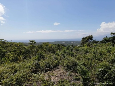 Overlooking Lot for Sale in the famous island of Siquijor