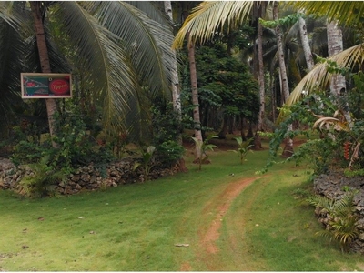 Overlooking Property in Siargao for sale