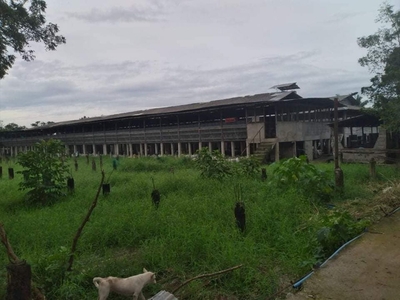 poultry and piggery farm for sale