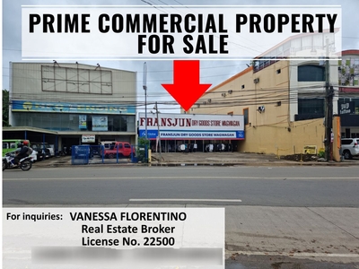 2-hectare Commercial Lot for sale in Puerto Princesa City, Palawan
