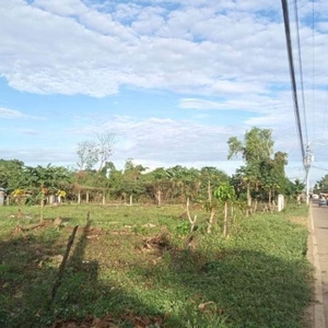 Prime lot forlease in TAWALA,Panglao Bohol