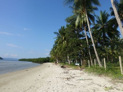 18,741 m2 / 4.63 Acres Sunrise Seafront for Tropical Lifestyle in Roxas