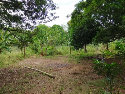Property for Sale in Tanay