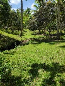 Raw 2 hectare lot in Babak, Island Garden City of Samal