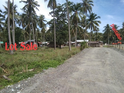 Raw Lot For Sale in Lupon, Davao Oriental!