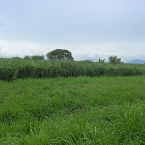 Raw lot For Sale with 50meters frontage adjacent to SCTEX NORTHBOUND, La Paz