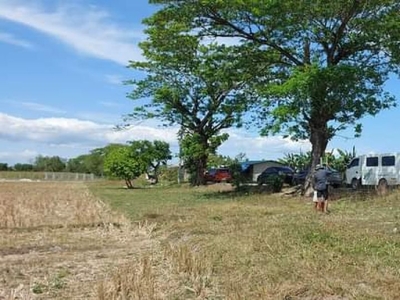 Ready to Transfer Title Residential Lot For Sale in Gerona, Tarlac
