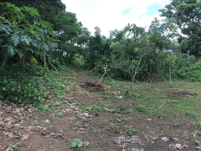 Residential/Agricultural Lot in Tagaytay City (near Picnic Grove) for sale
