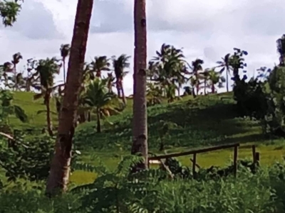 Residential And Agricultural Lot In Siargao for Sale