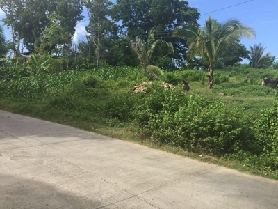 Residential/Comm Lot For Sale - Natubo, Jasaan, Misamis Oriental (P900/sqm)