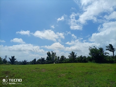 Residential/Commercial lot For Sale in Brgy. Conchu, Trece Martires Cavite