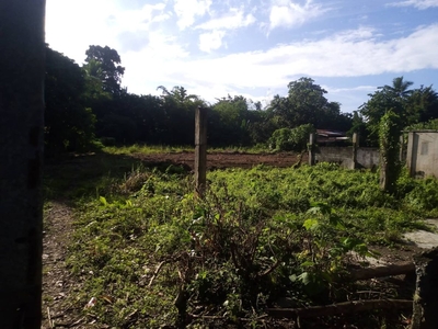Residential/Commercial Lot For Sale in Poblacion, Barotac Viejo