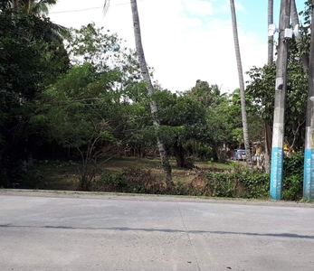 Residential commercial lot in Sitio 2, Oogong, Santa Cruz for sale