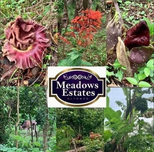 Residential Farm Lot for Sale in Meadows Estates