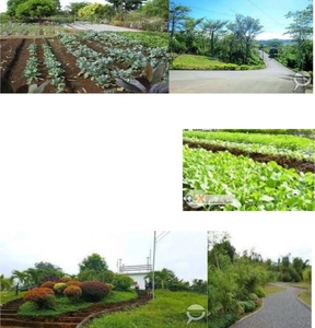 residential farm lot for sale in morong rizal