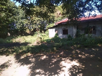 Residential/Farm Lot in in Lallana, Trece Martires, Cavite
