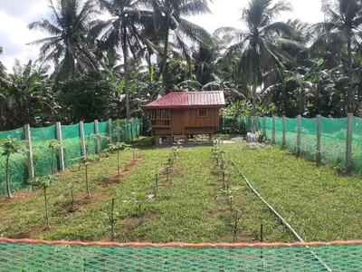 Residential Farm Lot located at Banay Banay, Amadeo, Cavite