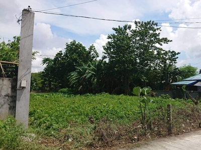 Residential Lot 1,000 sqm with Clean Title For Sale in Pinamalayan