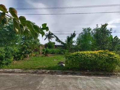 Residential lot at Midori Plains Subdivision Tungkop Minglanilla Cebu.